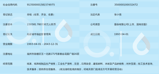 福建省青山紙業(yè)股份有限公司 紙制品銷售的戰(zhàn)略布局與市場(chǎng)競(jìng)爭(zhēng)力分析