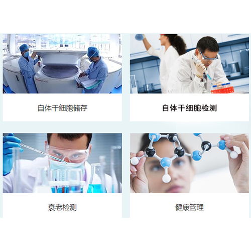 探索未來健康保障 河北盛世利眾生物臍帶間充質(zhì)干細(xì)胞保存與信息服務(wù)解析